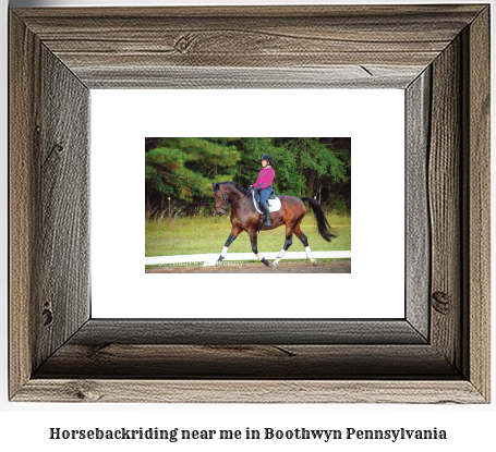 horseback riding near me in Boothwyn, Pennsylvania